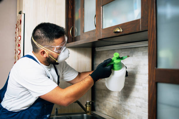 Best Cockroach Control Services  in Chippewa Falls, WI