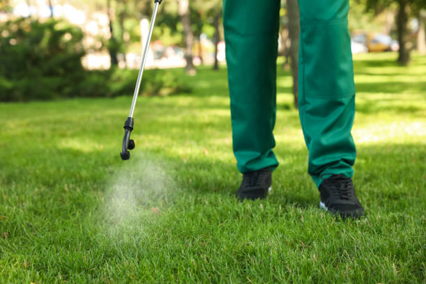 Insect Control in Chippewa Falls, WI